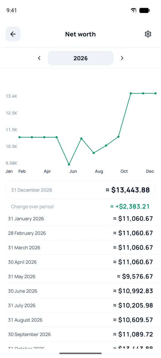Net worth over the year